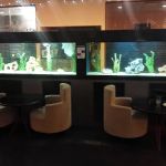 Ryan's Aquarium Cleaning