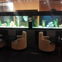 Ryan's Aquarium Cleaning ico