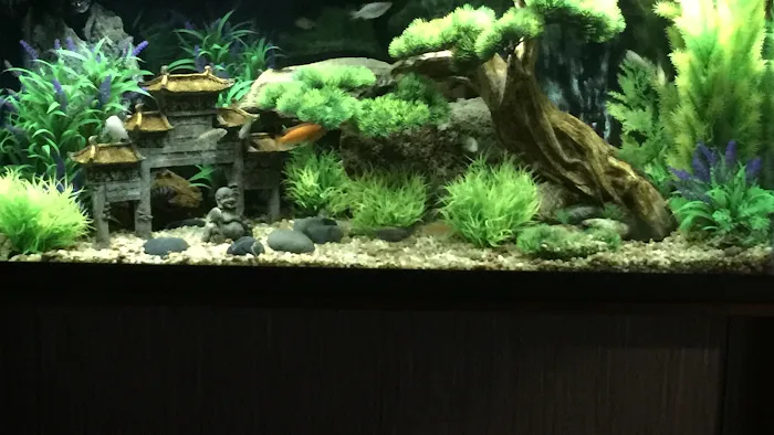 Ryan's Aquarium Cleaning Picture 3
