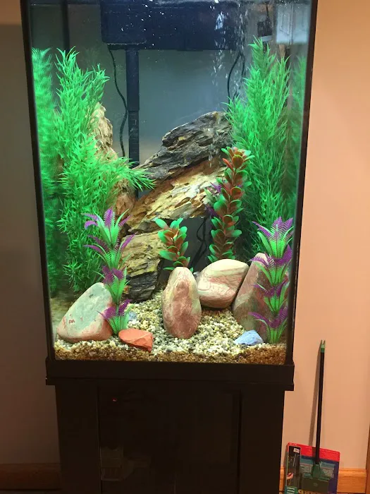 Ryan's Aquarium Cleaning Picture 4