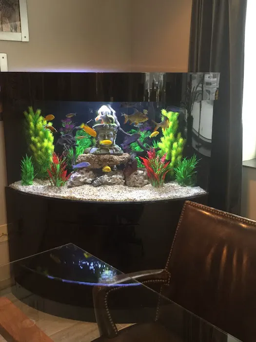 Ryan's Aquarium Cleaning Picture 8