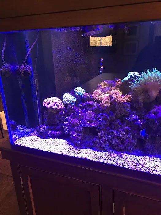 Ryan's Aquarium Cleaning Picture 9