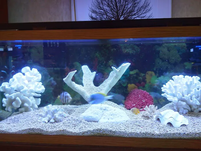 Ryan's Aquarium Cleaning Picture 10