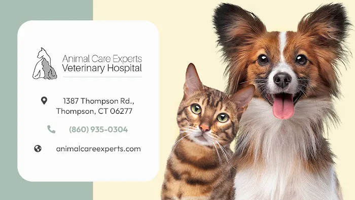 Animal Care Experts Veterinary Hospital Picture 10