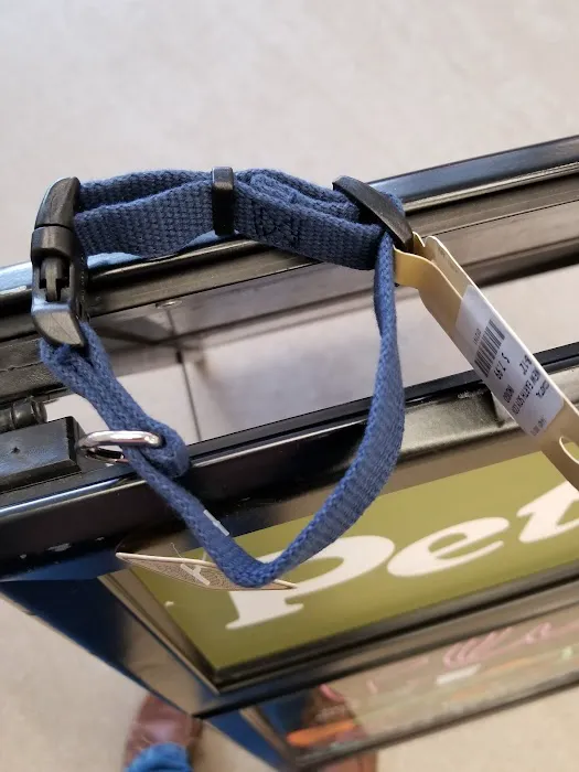 Hollywood Feed Picture 2