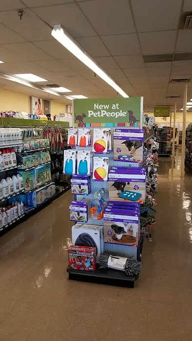 Hollywood Feed Picture 3