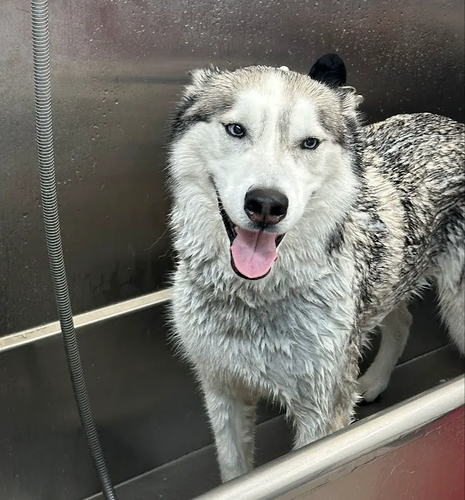 Hollywood Feed Picture 8