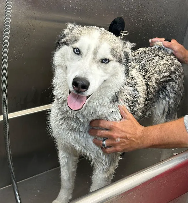 Hollywood Feed Picture 7