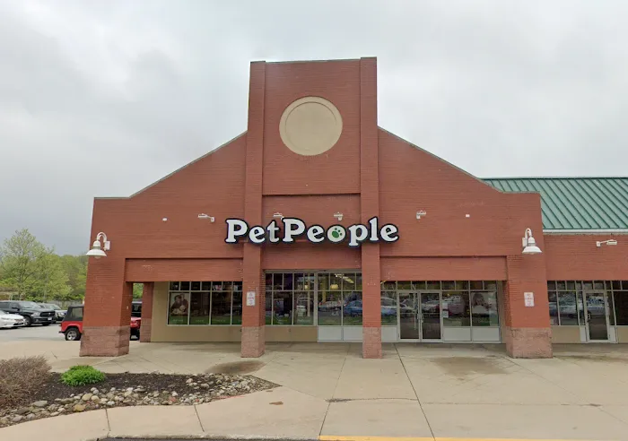 Hollywood Feed Picture 9