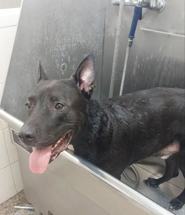 Hollywood Feed Picture 10