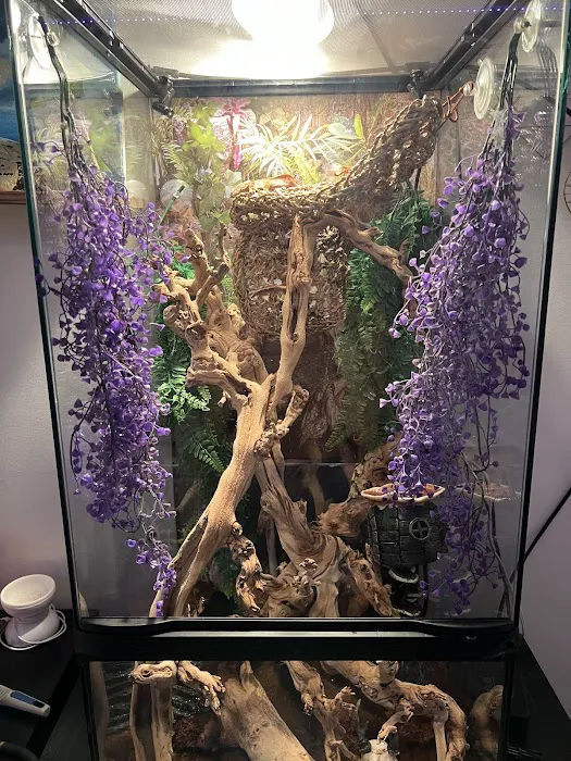 Animal Jungle Pet Shop Picture 1