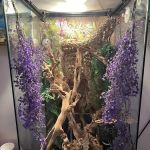 Animal Jungle Pet Shop