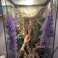 Animal Jungle Pet Shop ico