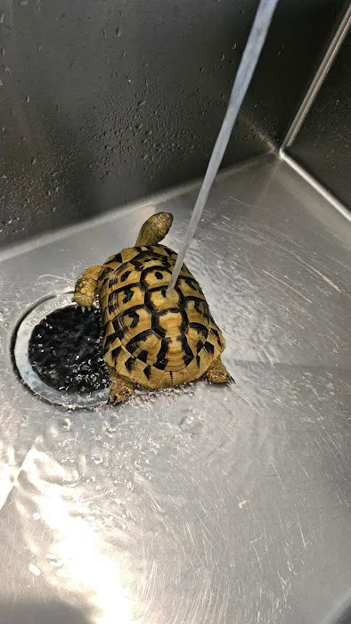 Animal Jungle Pet Shop Picture 4