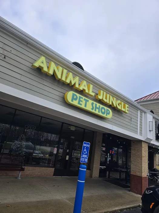 Animal Jungle Pet Shop Picture 3