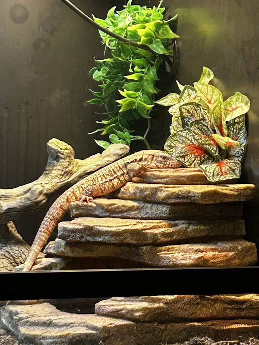 Animal Jungle Pet Shop Picture 10