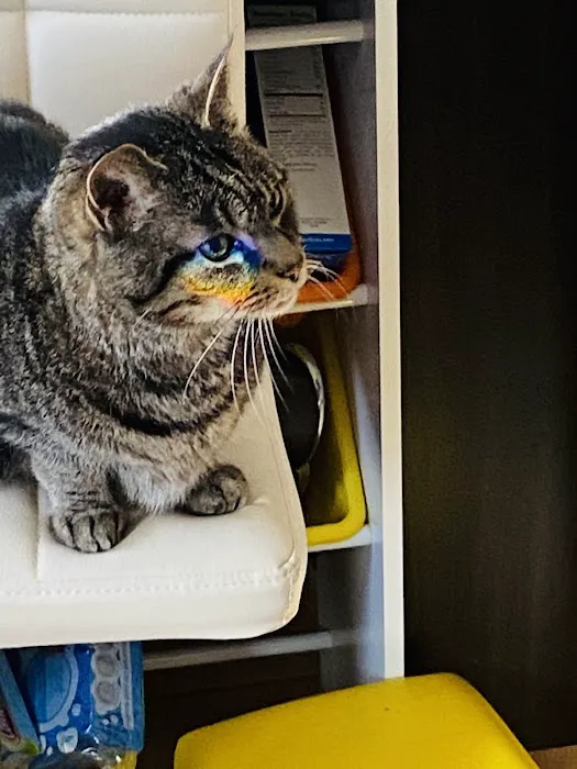 Petcare Veterinary Services Picture 2