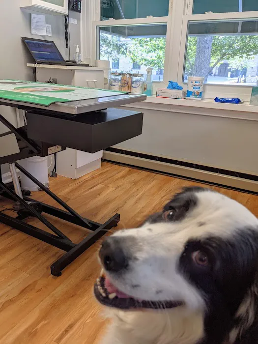Petcare Veterinary Services Picture 8