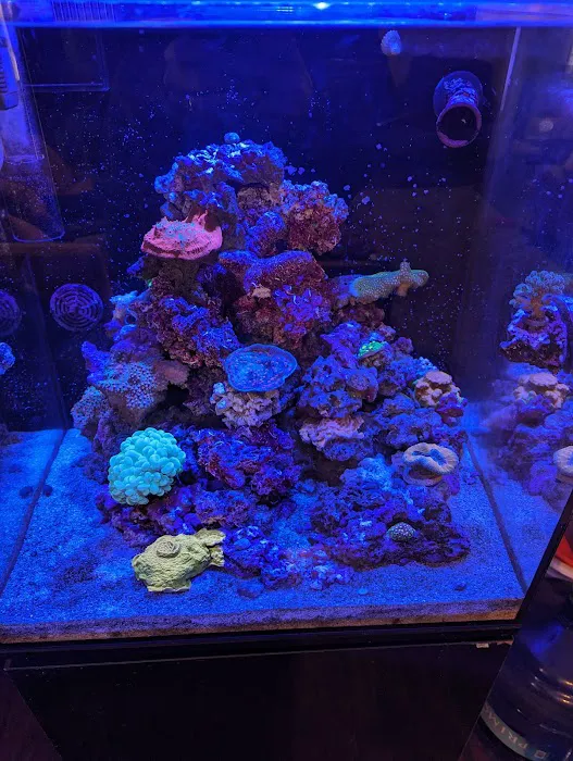 Tidewalker Aquarium Service Picture 9