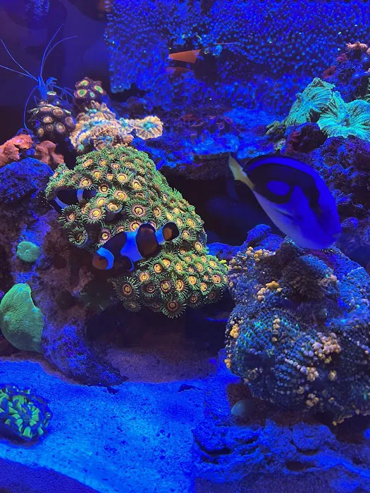 Tidewalker Aquarium Service Picture 2
