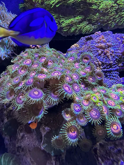 Tidewalker Aquarium Service Picture 4
