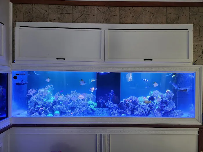 Tidewalker Aquarium Service Picture 3