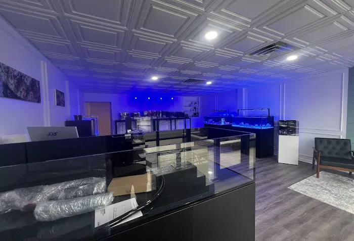 Tidewalker Aquarium Service Picture 5