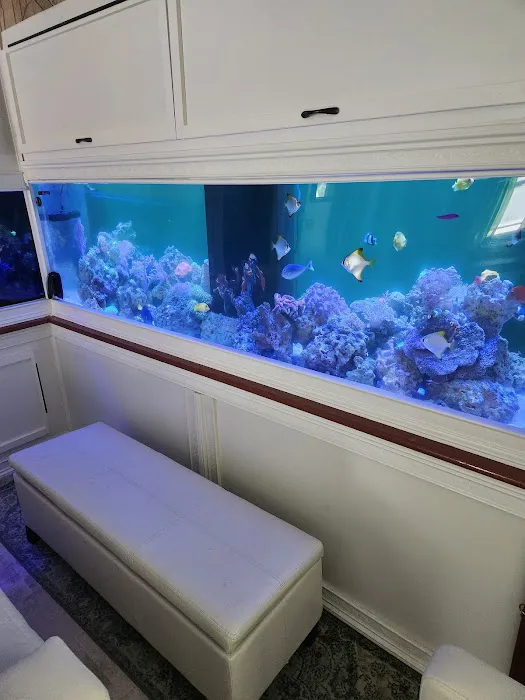 Tidewalker Aquarium Service Picture 6
