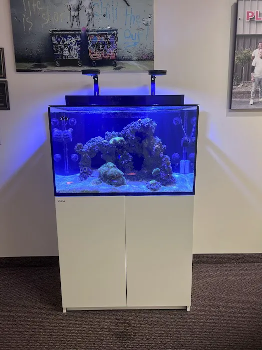 Tidewalker Aquarium Service Picture 8