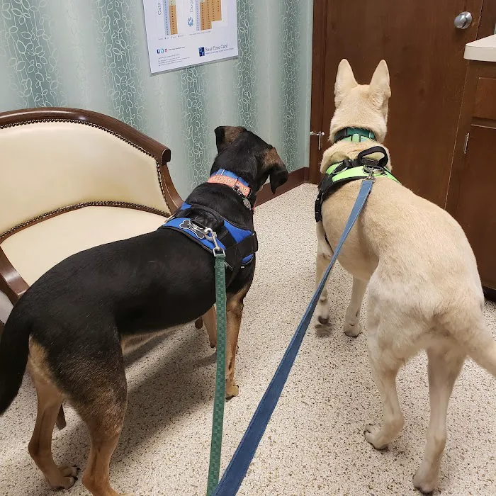 Farmington Animal Hospital Picture 1