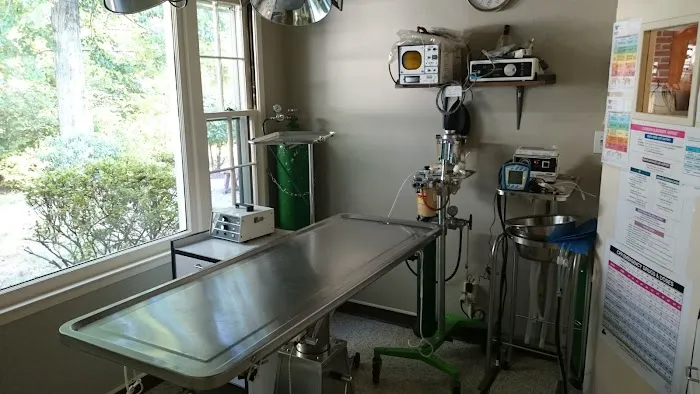 Farmington Animal Hospital Picture 4