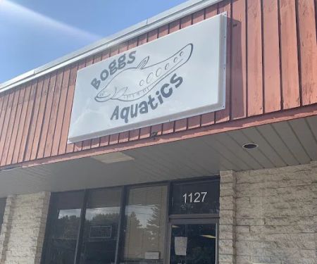 Boggs Aquatics