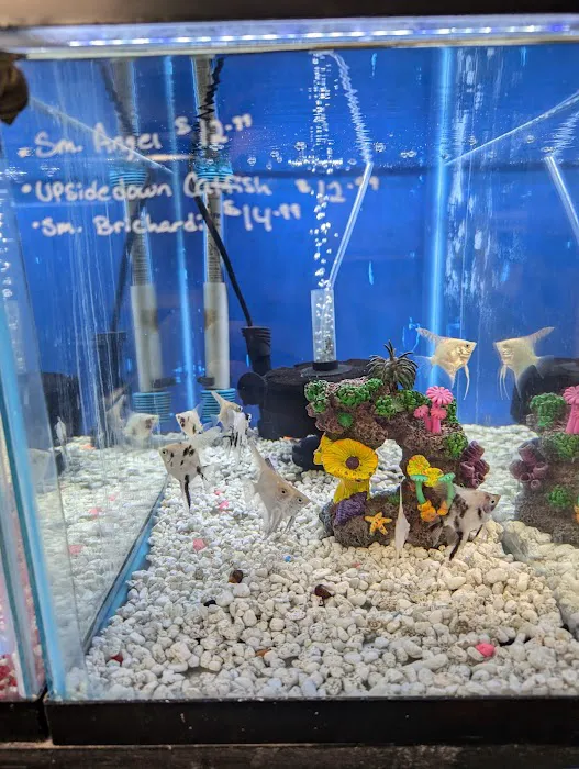 Boggs Aquatics Picture 2