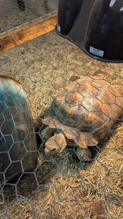 Boggs Aquatics Picture 9