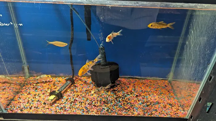 Boggs Aquatics Picture 7