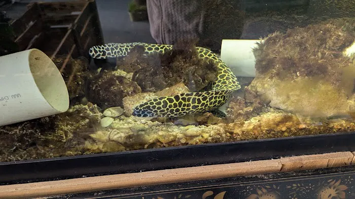 Boggs Aquatics Picture 4