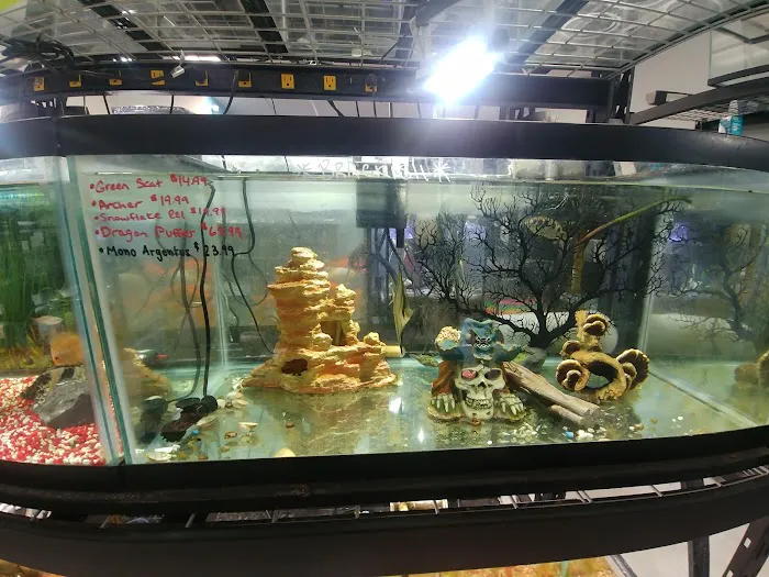 Boggs Aquatics Picture 10