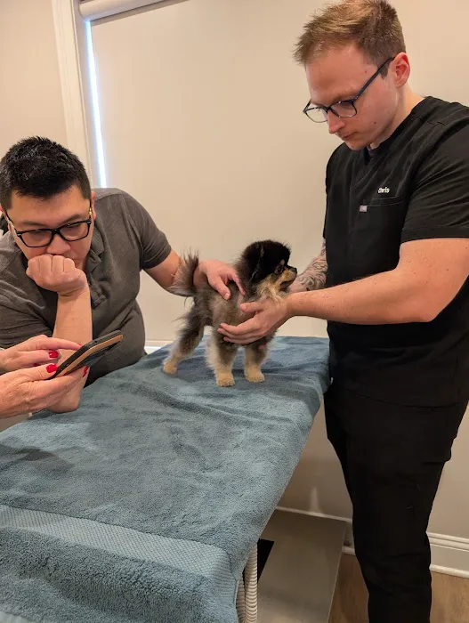 Zenith Veterinary Dermatology Picture 4