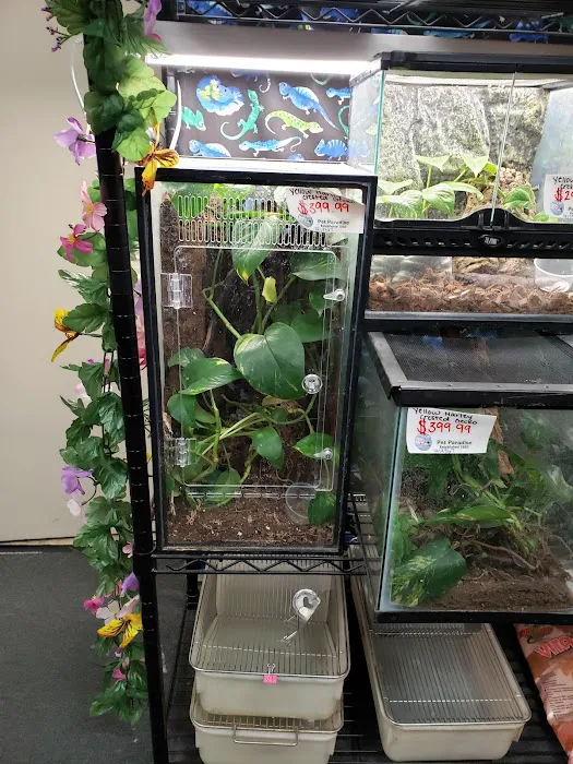 Pet Paradise Picture 3