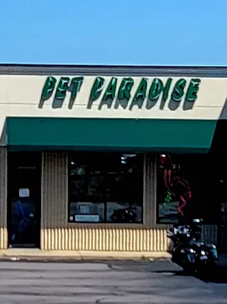 Pet Paradise Picture 1