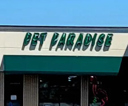 Pet Paradise