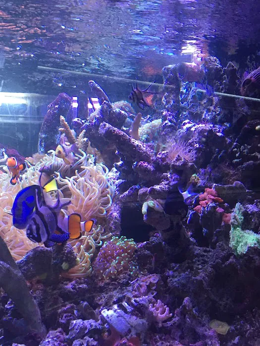 Jurassic Aquatics & Pets Picture 7