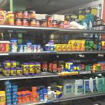 Jurassic Aquatics & Pets