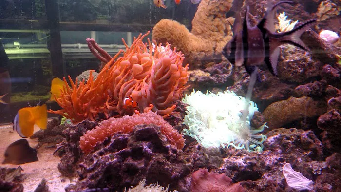 Jurassic Aquatics & Pets Picture 10