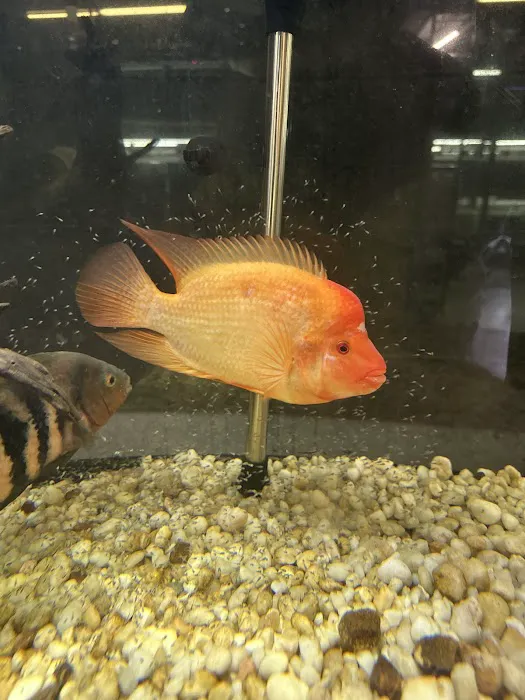 Jurassic Aquatics & Pets Picture 8
