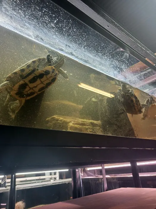 Jurassic Aquatics & Pets Picture 2