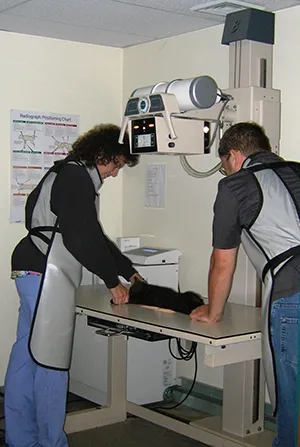 Beacon Valley Animal Hospital Picture 6