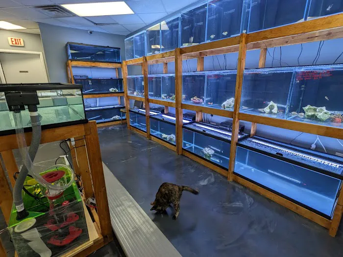 Royal Union Pets Co. Picture 2