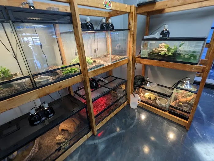 Royal Union Pets Co. Picture 1