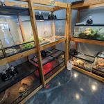 Royal Union Pets Co.
